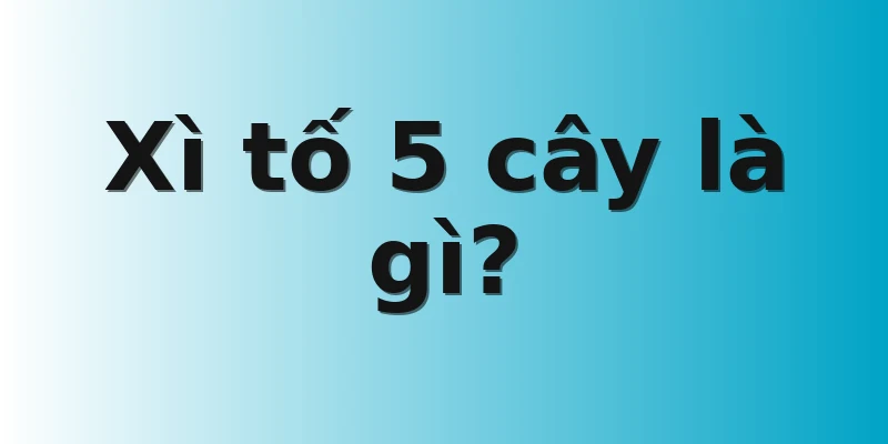 Xì tố 5 cây là gì?