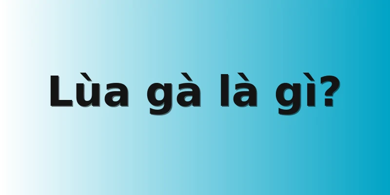 Lùa gà là gì?