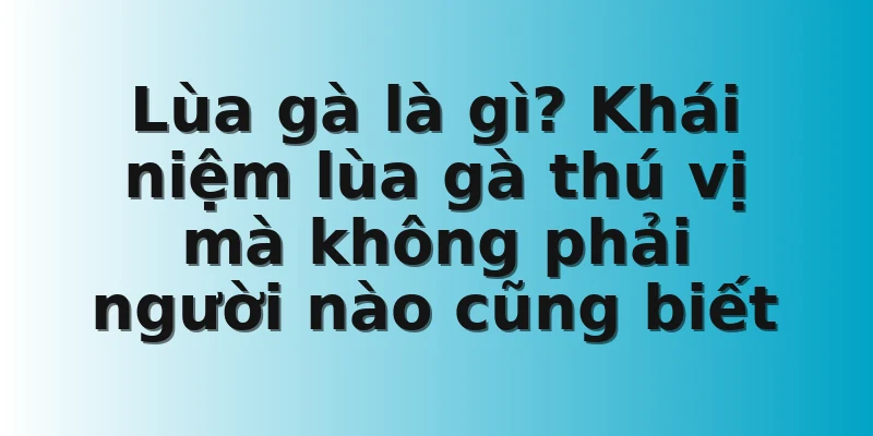 Lùa gà là gì? Khái niệm lùa gà thú vị mà không phải người nào cũng biết